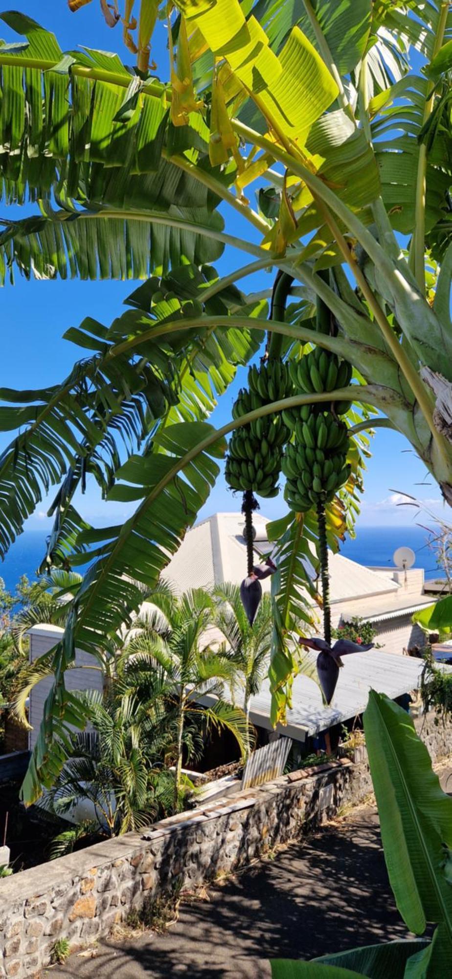 Villa Maloya Saint-Leu Bagian luar foto